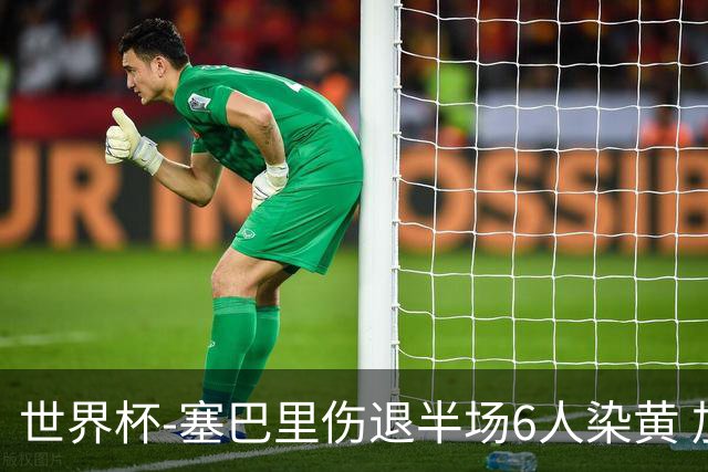 世界杯-塞巴里伤退半场6人染黄 加拿大半场0-0摩洛哥