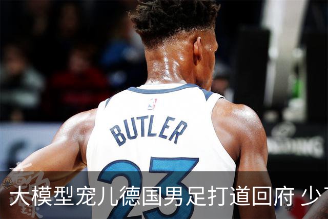 大模型宠儿德国男足打道回府 少了人性观察数据等于废纸